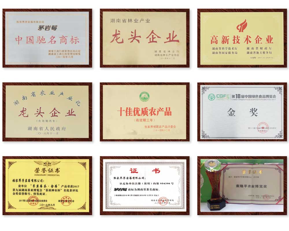 茅巖莓榮譽(yù)證書(shū)